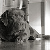 Eric > 4labs3 photo
