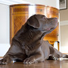 Eric > 4labs3 photo