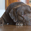 Eric > 4labs3 photo