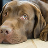 Eric > 4labs3 photo