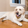 Eric > 4labs3 photo