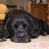 Eric > 4labs3 photo