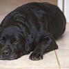 Eric > 4labs3 photo