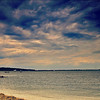 Oyster Bay : 