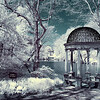 Westbury Gardens IR : 