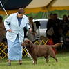 Ladies Kennel Club : 